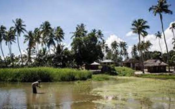 Mozambique: la ville de Palma en cours d'évacuation après l'attaque jihadiste meurtrière