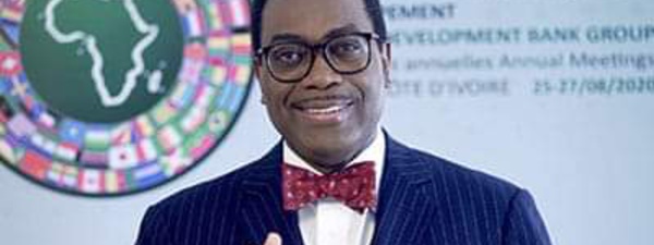 « L’Afrique est un marché énorme qui offre des possibilités incroyables » (président BAD)