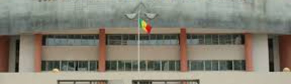 Terrorisme et blanchiment de capitaux:5 ans de prison pour Boubacar Niangadou et Sina Ould Sidi condamnés aussi à payer une amende de 9 milliards FCFA