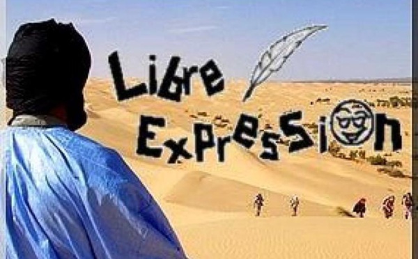 DDR, l’accélération de la création d’une armée de rebelles, aux frais du PEUPLE malien.