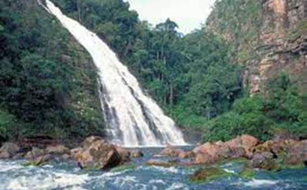 Bolivie: deux laboratoires de fabrication de cocaïne découverts dans un parc naturel