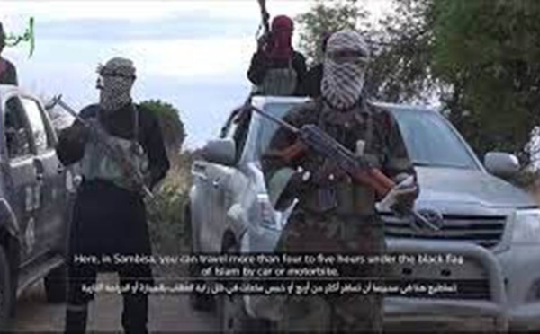 Nigeria: «Cette offensive du groupe EI dans la forêt de Sambisa est une nouveauté»