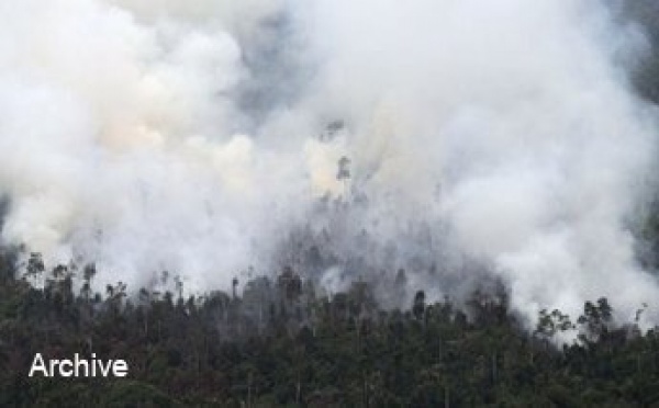 Au moins 19 pompiers trouvent la mort dans un incendie en Arizona