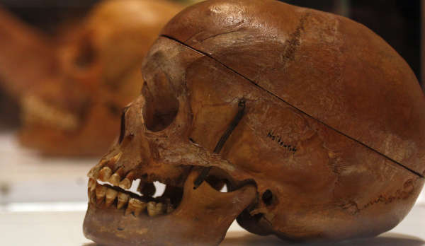 L'Allemagne reconnaît avoir commis un «génocide» en Namibie pendant la colonisation