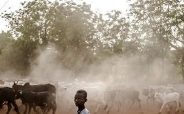 Nigeria: 53 personnes tuées par des voleurs de bétail dans le nord-ouest du pays