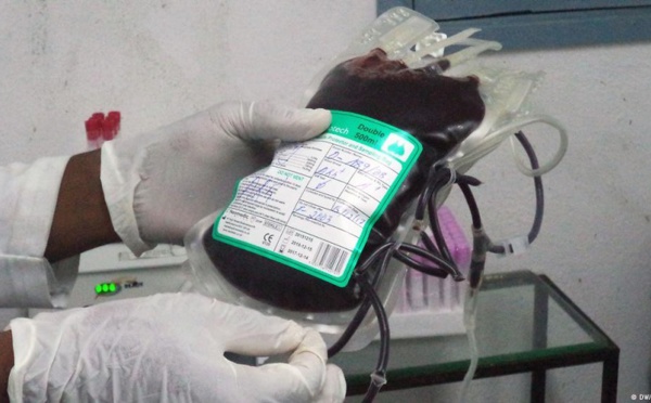 Impacts de la covid-19 : En Afrique, la fréquence des collectes de sang a chuté de 25 %