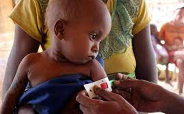 Madagascar: le directeur du PAM dans le Sud en raison de la famine