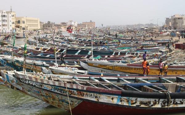 Greenpeace Africa:  "La société gazière BP et ses partenaires prêts à détruire un écosystème unique et déstabiliser le climat"