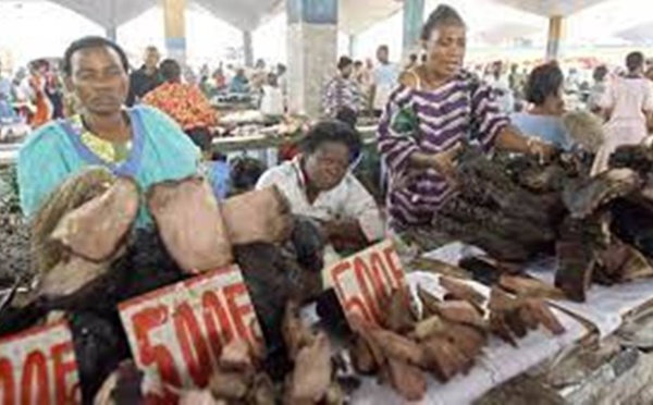 RDC: le gouvernement veut faire baisser les prix du marché local