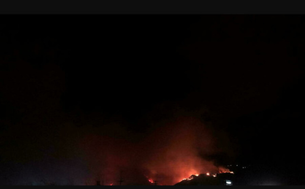 Vague de chaleur: plus d'une centaine d'incendies ravagent l'Ouest américain