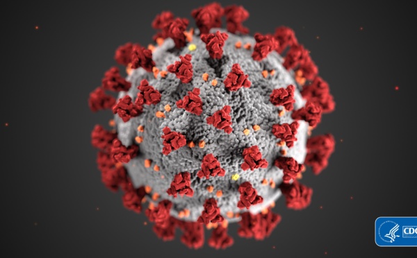 Covid-19: Plus de 2,6 millions de cas la semaine dernière avec une hausse de 30% en Europe 