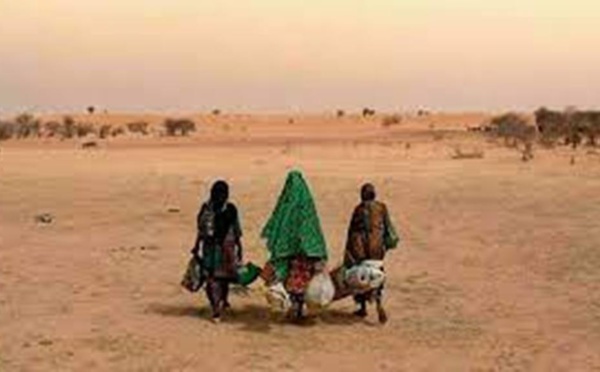 À Cannes, la dispendieuse industrie du cinéma se met au vert