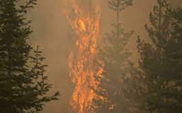 Les flammes ravagent toujours l’Oregon et la Californie