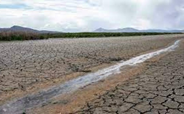 Climat : près de 200 pays se penchent sur le 6e rapport des experts du Giec