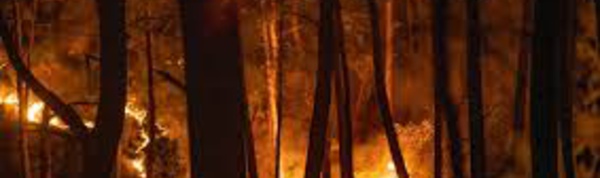 Turquie: rumeurs et fake news se multiplient sur les feux de forêts meurtriers