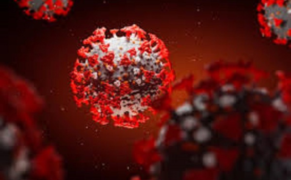 Covid-19: Les infections ont augmenté au cours des quatre dernières semaines dans le monde