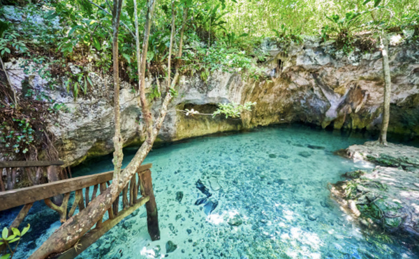 Mexique: huit personnes exécutées et abandonnées sur un chantier dans l'État de Guanajuato