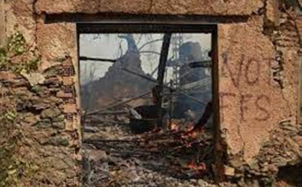 Incendies en Algérie : le bilan s’alourdit, situation alarmante en Kabylie