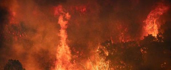 Après l'Algérie, le nord du Maroc ravagé à son tour par des feux de forêts