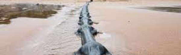 Google et Facebook investissent dans un nouveau câble internet sous-marin en Asie