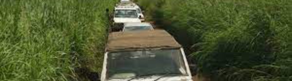 Centrafrique : les Casques bleus gabonais quittent le pays après des soupçons d'abus sexuels