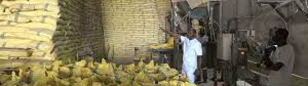 Guinée : les acteurs économiques espèrent une réouverture rapide des frontières