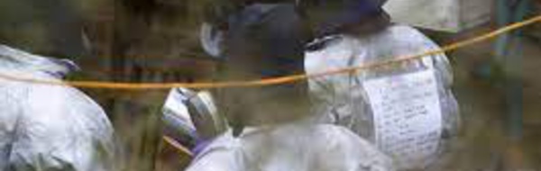 Empoisonnement de Skripal: un troisième agent du renseignement russe inculpé