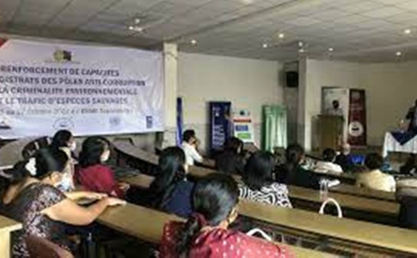 Madagascar: une réunion de magistrats pour réfléchir sur les crimes contre l'environnement