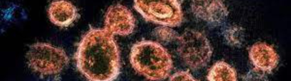 Covid-19: Le monde en alerte face au nouveau variant venu d'Afrique du Sud