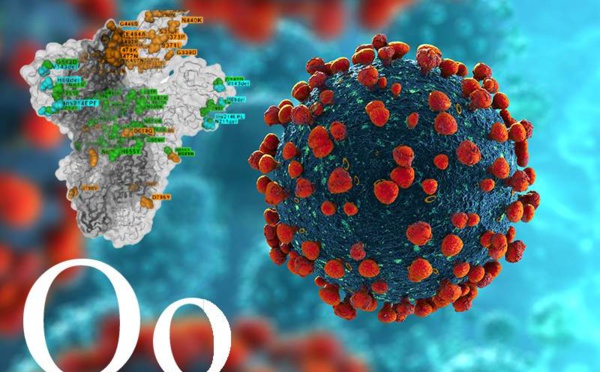 Covid-19 : le séquençage et la vaccination pour lutter contre le nouveau variant Omicron