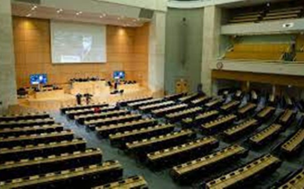 Éthiopie: l'ONU met en place une commission d'enquête sur la guerre au Tigré