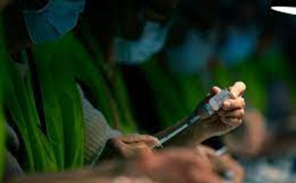 Covid-19 : pourquoi Omicron semble moins sévère que le variant Delta