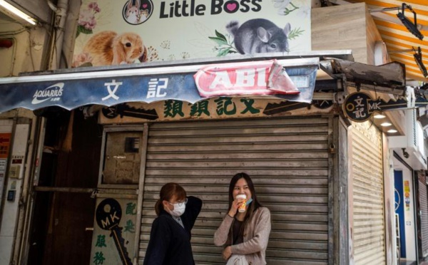 Covid: fureur à Hong Kong à propos de l'élimination massive de hamsters