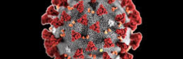 Covid-19 : troisième semaine consécutive de recul de la pandémie en Afrique