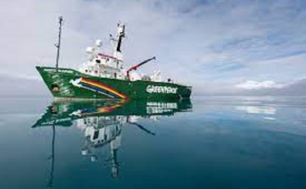 Greenpeace salue le rapport de la FAO sur les impacts de l’industrie de farine et d’huile de poisson en Afrique