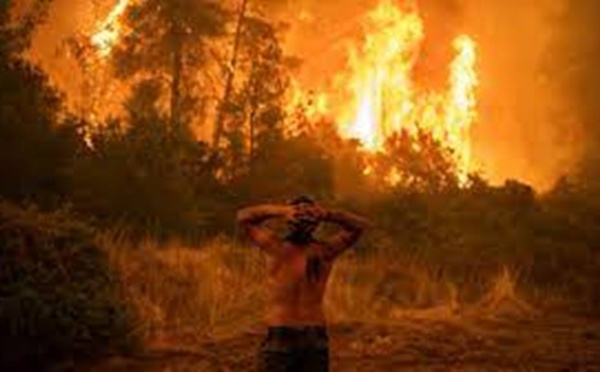 Inondations, canicule, incendies… L'été 2021, saison de tous les extrêmes en Europe