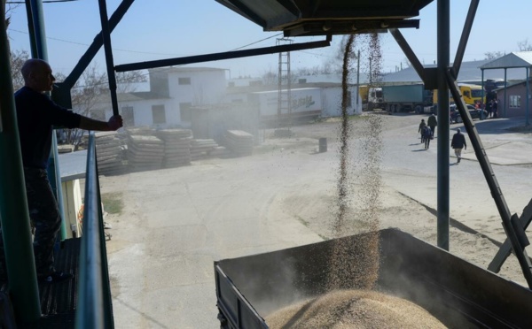 Des grandes puissances agricoles promettent la sécurité alimentaire malgré la guerre en Ukraine