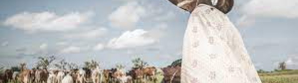 COP15 à Abidjan: changer les pratiques agricoles pour réduire la désertification