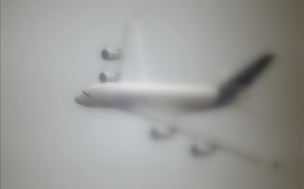 Cameroun: un avion s'écrase en forêt avec onze personnes à bord (ministère)