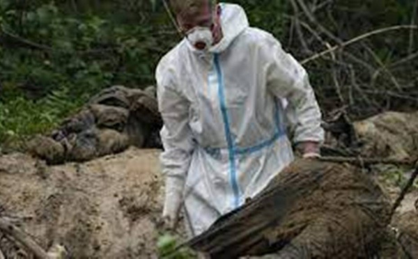 Crimes de guerre en Ukraine: où en est-on plus de trois mois après le début du conflit?