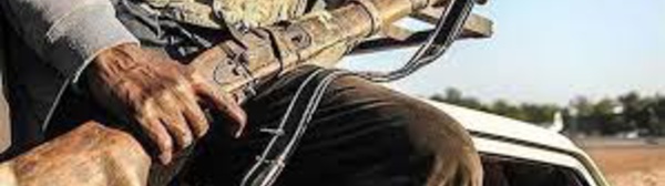 Au moins vingt civils tués par des hommes armés dans le nord du Mali