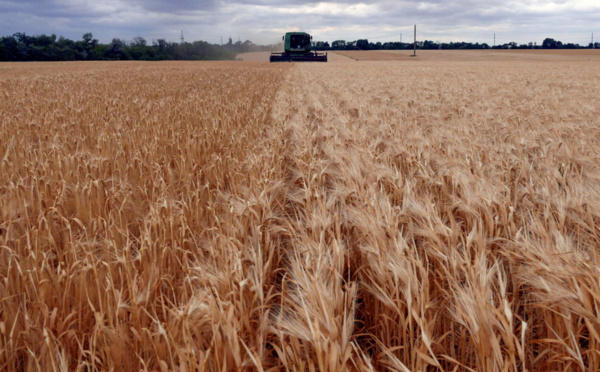 Le G7 exhorte pays et entreprises disposant de stocks alimentaires à atténuer la pénurie