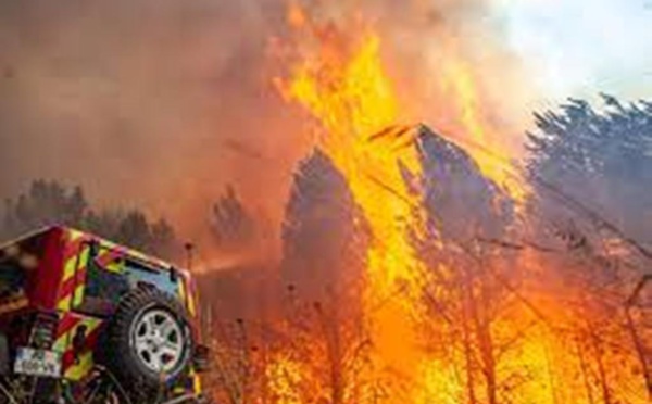 Climat: en France, le gigantesque incendie qui dévaste la Gironde gagne du terrain