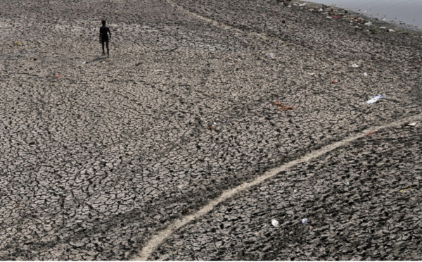 L'Inde fait le bilan de sa pire vague de chaleur jamais enregistrée