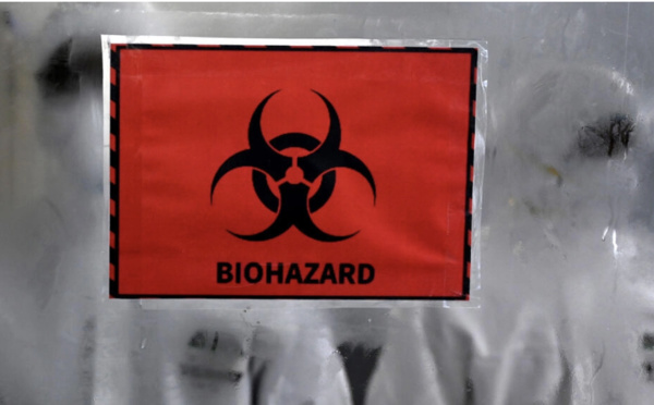 Mort en Inde d'un homme contaminé par la variole du singe