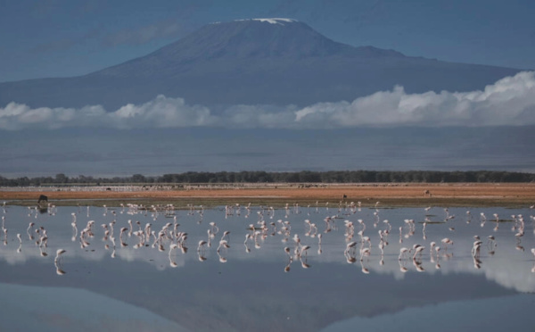 Internet: le Kilimandjaro en haut-débit