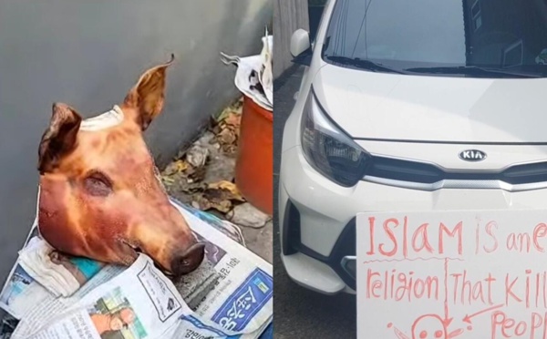Islamophobie : des têtes de porcs déposées devant une mosquée en Corée du Sud