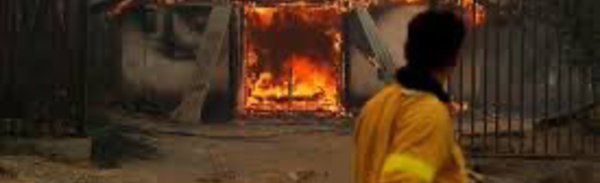 Chili: 23 morts dans des incendies de forêts, selon un nouveau bilan