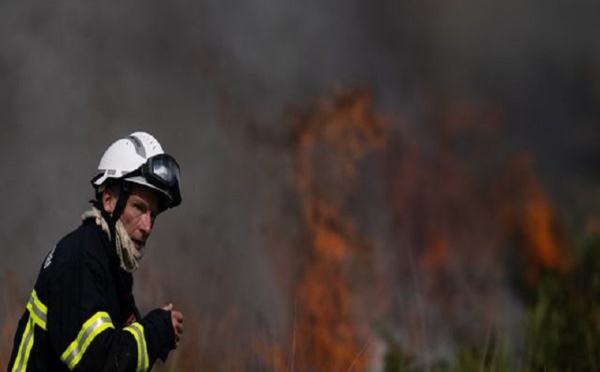 Chili: les violents incendies continuent de faire rage, au moins 24 morts
