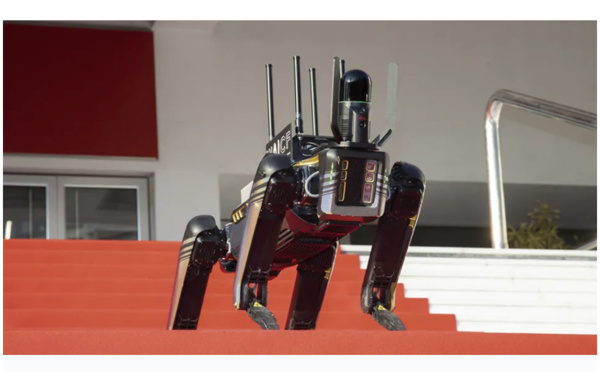 Les droits humains sont "gravement menacés" par l'intelligence artificielle, selon l'ONU